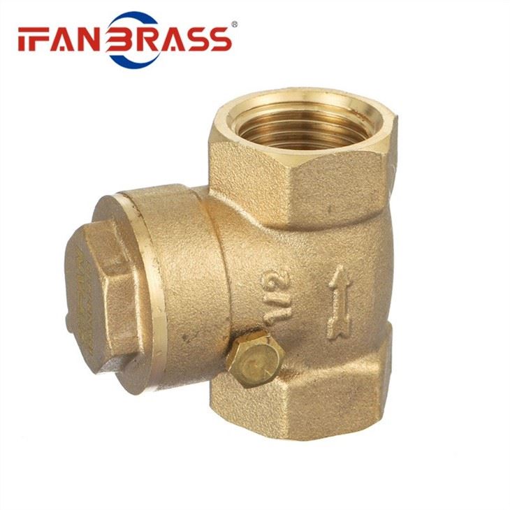 Check Valve