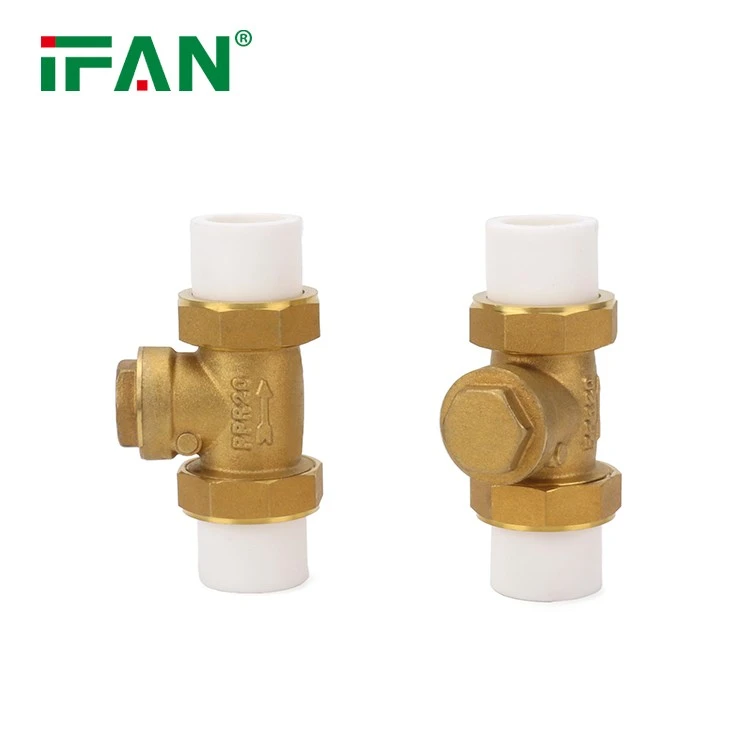 IFAN Wholesale Check Valve