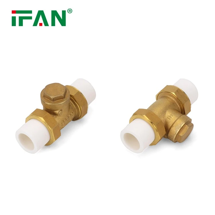 Customized Check Valve